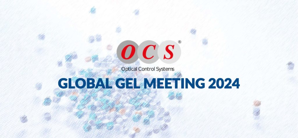 GGM: Global Gel Meeting 2024